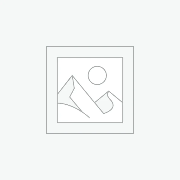 Premium Hosting